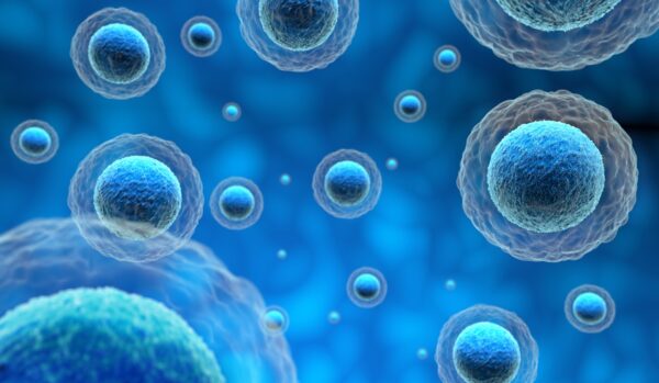 Regenerative medicine treatment using PRP and stem cell therapy for pain relief